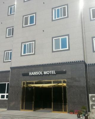 한솔 호텔