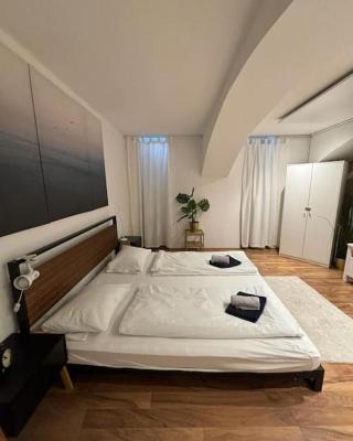 Trendy Souterrain Loft - Near City Center