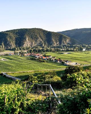 Winzerhof Mörtinger