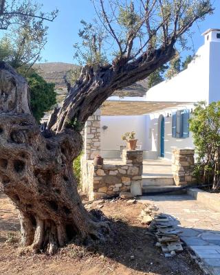 Elitas Lodge: Cosy Cycladic home outside Paroikia