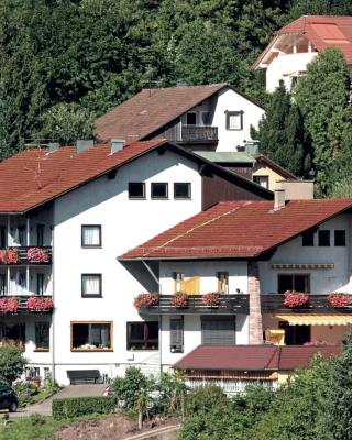 Aparthotel Schwarzwald Panorama