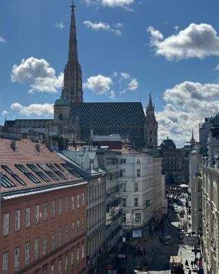 110 m2 Rooftop Apartment - St Stephen's Cathedral View