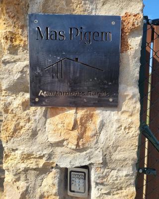 Mas Pigem