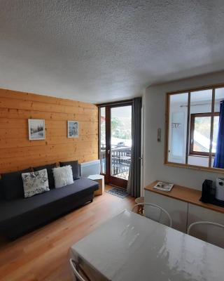Appartement cosy au pied des pistes