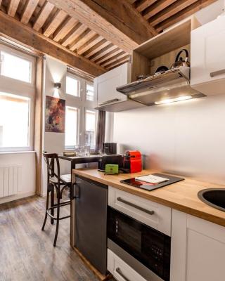 Ideal studio in the heart of Lyon