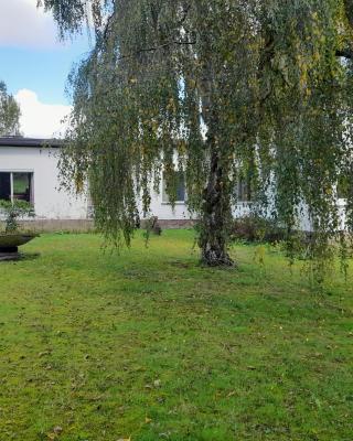 Vakantiewoning Nieuwdonk