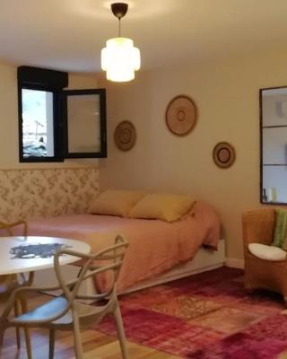 Studio en rez de jardin