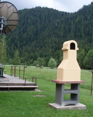 Chalet au bord du lac de Longemer