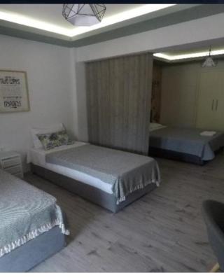 Ofrinio central apartment