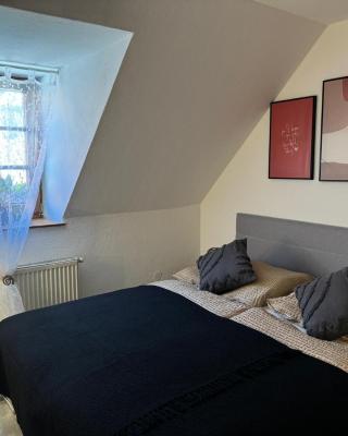 FarawayHomes Studio Bad Leonfelden #10