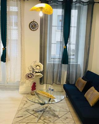 LE CAUBOUS Plein centre Appartement calme avec chambre, balcon et cuisine équipée