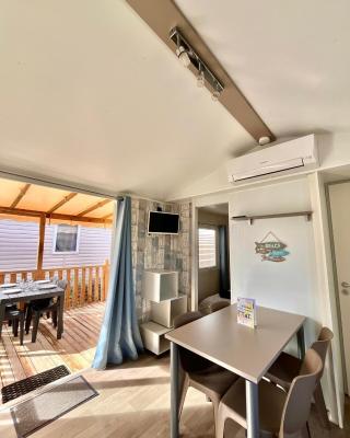 Mobil Home Abricotiers 1