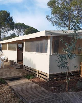 Mobil home à louer dans camping des cigales le muy 5 étoiles