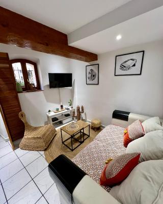 Superbe appartement neuf et cosy en centre ville