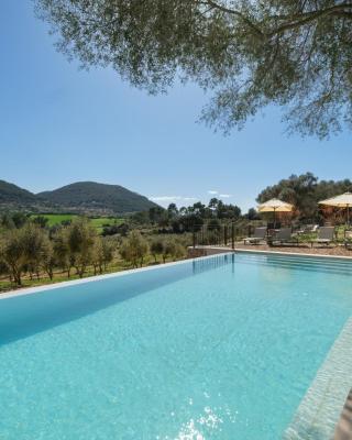 Fincahotel Treurer - Olive Grove & Grand House - Adults Only