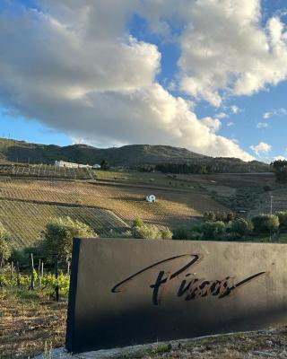 Quinta dos Piscos