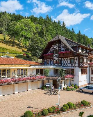 Flair Hotel Adlerbad