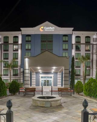 Comfort Inn & Suites New Orleans Airport North