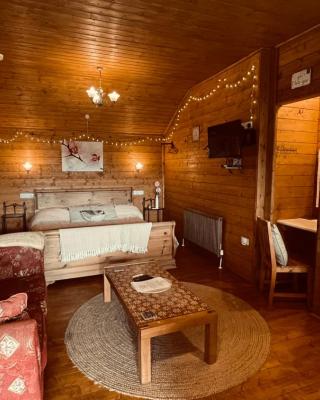 Blossom Cabin - Little log Cabin in Wales