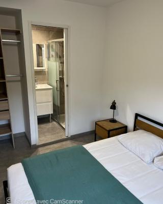 Chambre avec salle d'eau privée dans appartement partagé 200 m du tram