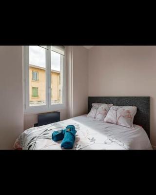 Appartement totalement rénové 4 couchage proche Lyon