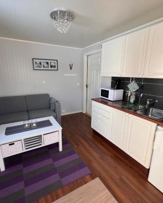Lofoten booking