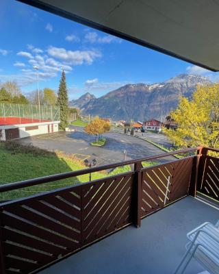 Gemütliche Wohnung in Seelisberg