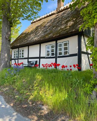 Sofie's Hus - Munkgaard