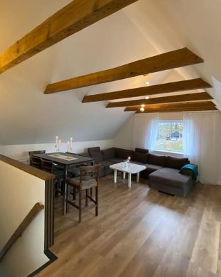 Sunny apartment