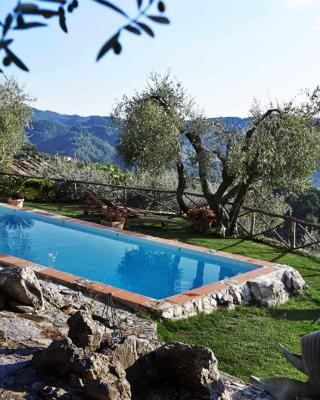 Peralta Tuscany