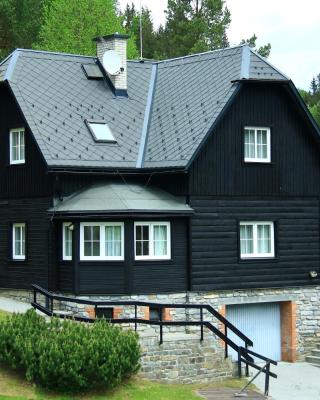 Horská vila Heda