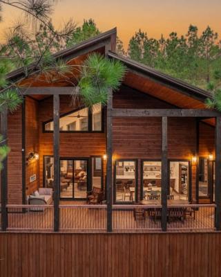 New Cabin w Hot Tub + Views Sleeps 12
