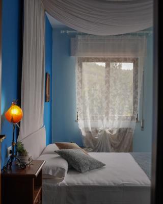 Casa Vicino