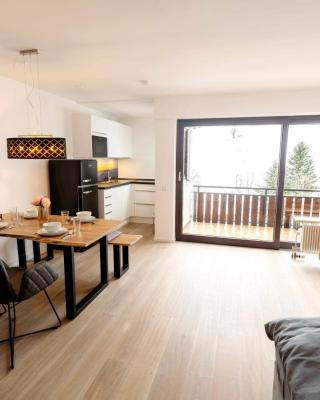 Ferienwohnung Ausklang - Todtnauberg, Feldberg