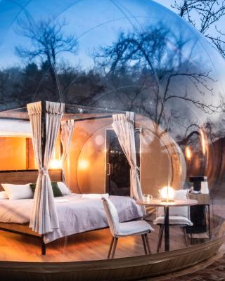 Horizonte Bubble rooms