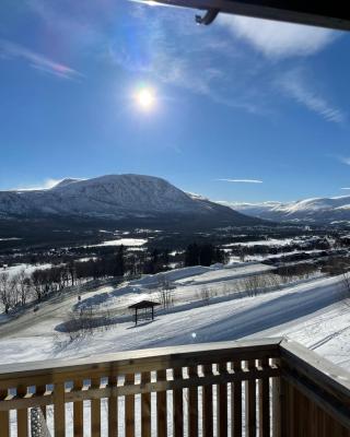 Flott leilighet med ski in ski out, utsikt og balkong