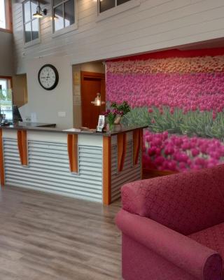 Cocusa Motel