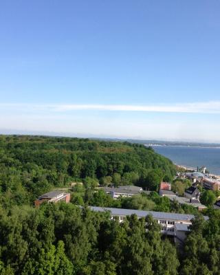 Sunnyside 95