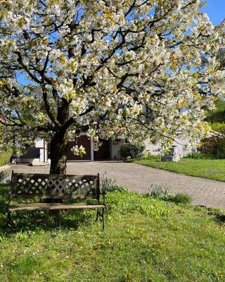 Ferienwohnung am Kirschbaum