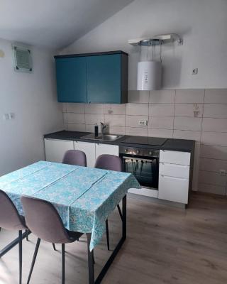 Apartment Roza