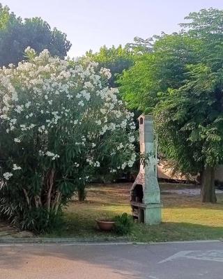 L'Oasi di Lulu'