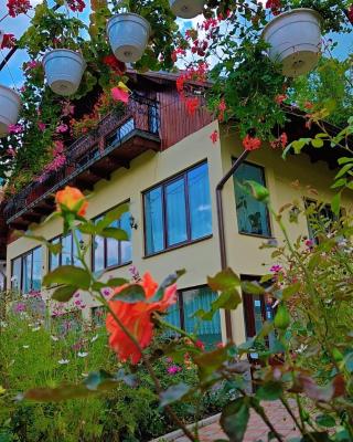 Pensiunea Dana Olteanu