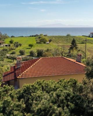 Nice house by the sea!