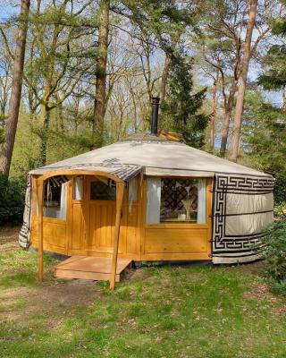 Ons Yurt Huisje in het Bos