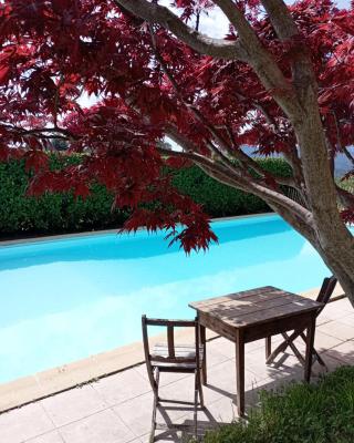 Chambre d'Hôte dans MAS proche Anduze Cévennes avec piscine