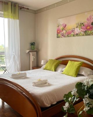 Comfort living apartment