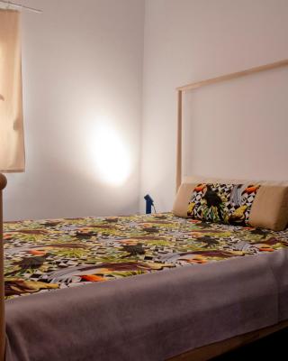 Parrot Palazzo
