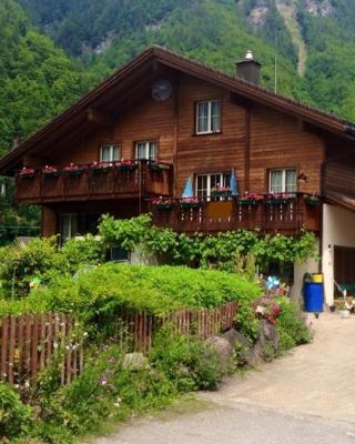 Alpen Apartment - Einfachheit und Stille - Unsere kleine Farm ,Ganz einfach -ganz unkompliziert -ganz relaxd