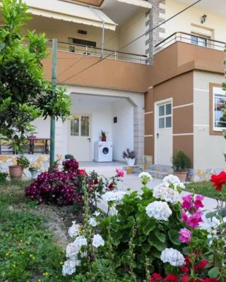 Vila Agolli