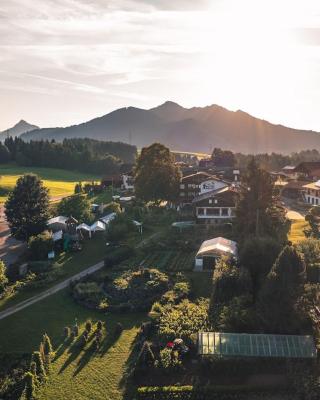 Der Bären in Zell